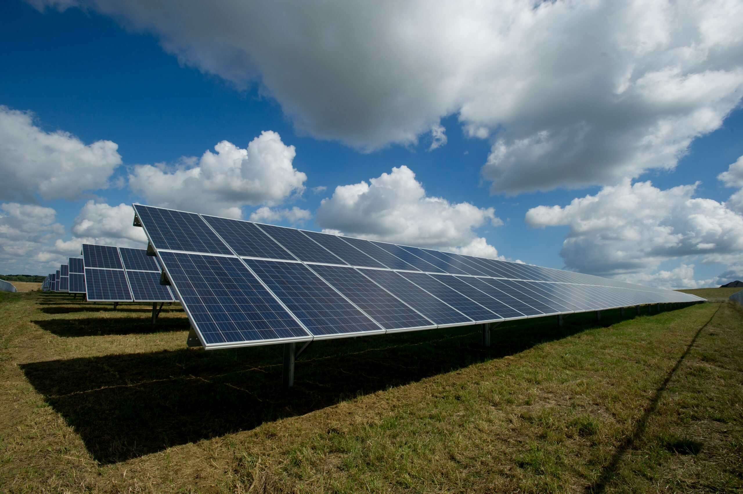 Sul Informação - APA vai contestar ação do Ministério Público contra central solar em Santiago do Cacém
