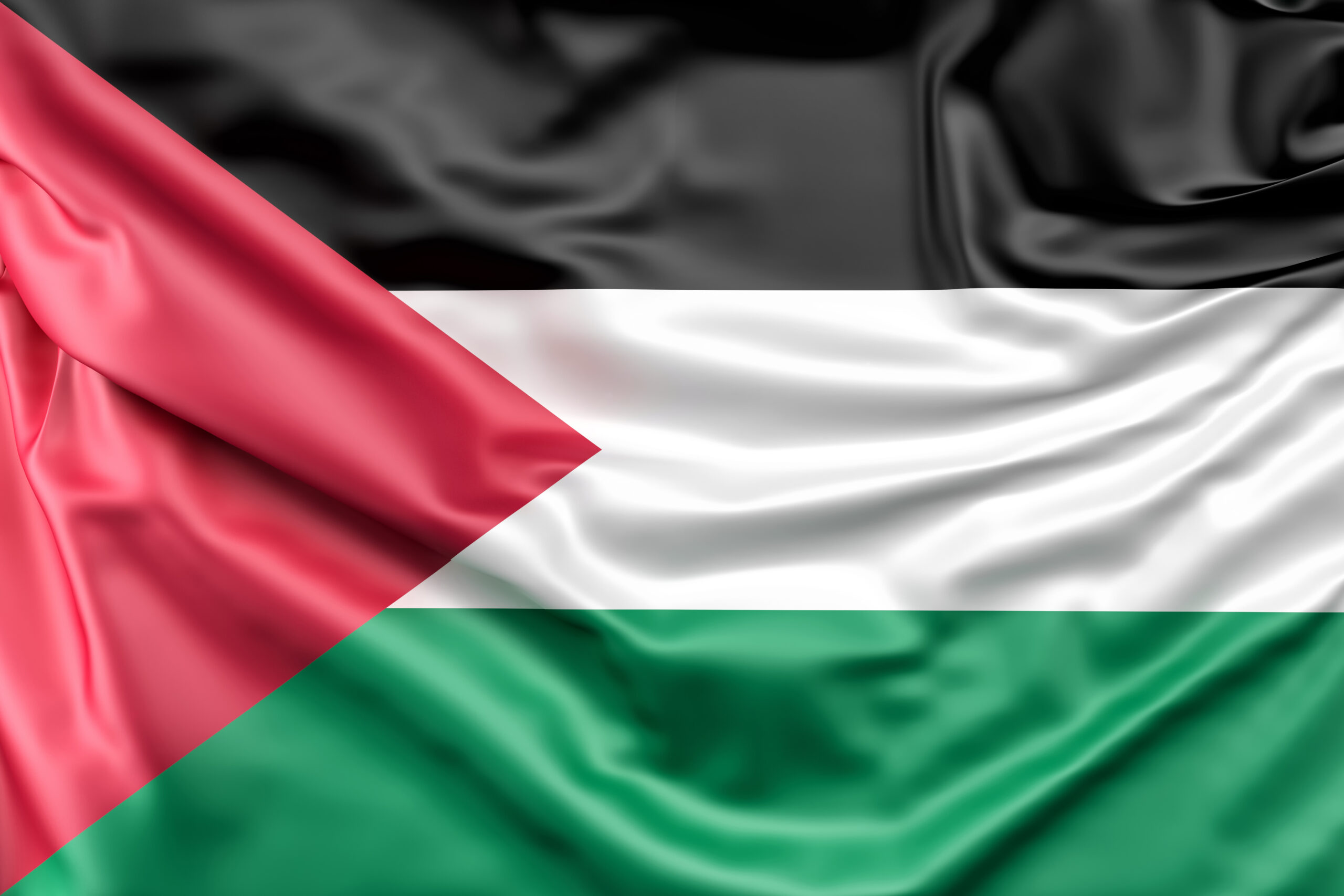 Sul Informação - Faro acolhe iniciativa de Solidariedade com a Palestina