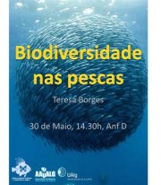 Sul Informação - Biodiversidade nas Pescas motiva palestra do NEBUA