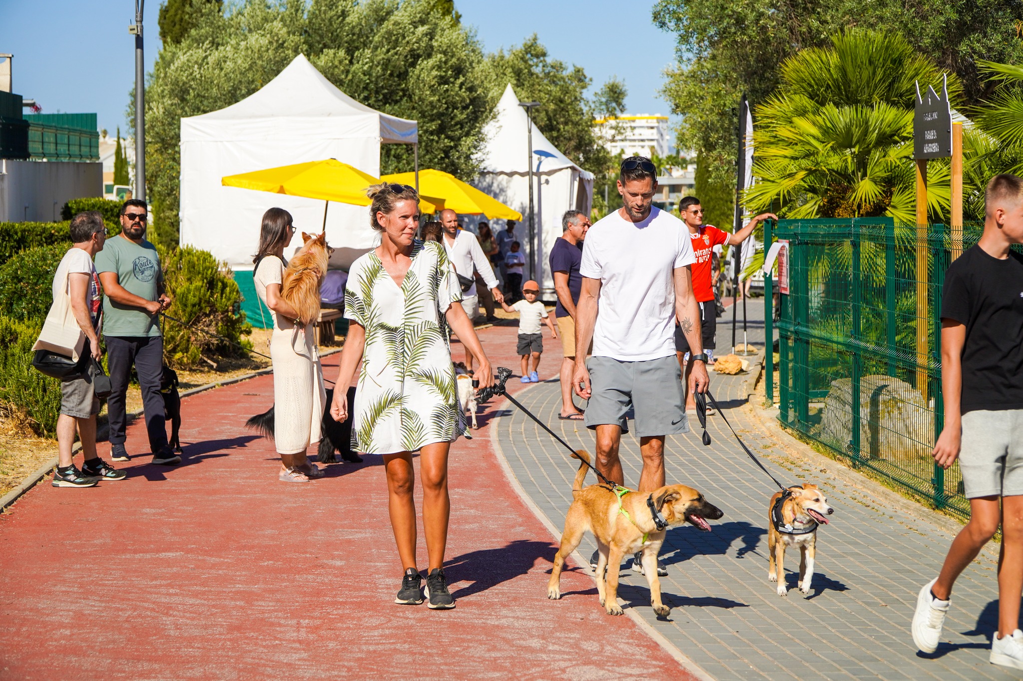 Sul Informação - Albufeira já tem um Parque Canino