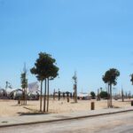 Sul Informação - Faro inaugurou Parque de Campismo «agora com todas as condições»