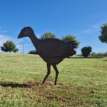 Sul Informação - Artista Tó Quintas pôs cinco espécies “à solta” no Parque Ribeirinho de Faro