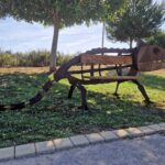 Sul Informação - Artista Tó Quintas pôs cinco espécies “à solta” no Parque Ribeirinho de Faro