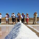 Sul Informação - Passeio pela natureza (re)descobriu «segredos das salinas de Castro Marim»