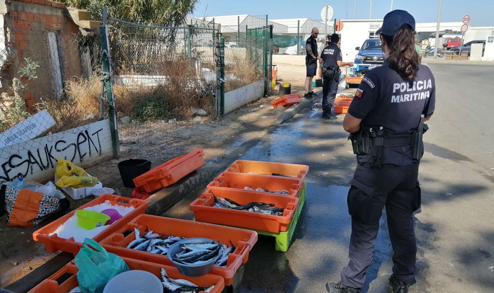 Sul Informação - 89,5 quilos de peixe apreendidos à entrada do porto de Quarteira