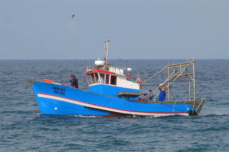 Sul Informação - Câmara de VRSA pede reunião ao secretário de Estado do Mar para rever termos do acordo de pesca do Guadiana