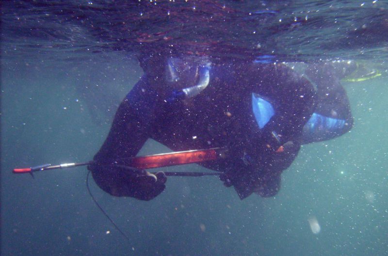 Sul Informação - Campeonato do Mundo de Pesca Submarina disputa-se em Sagres em 2018