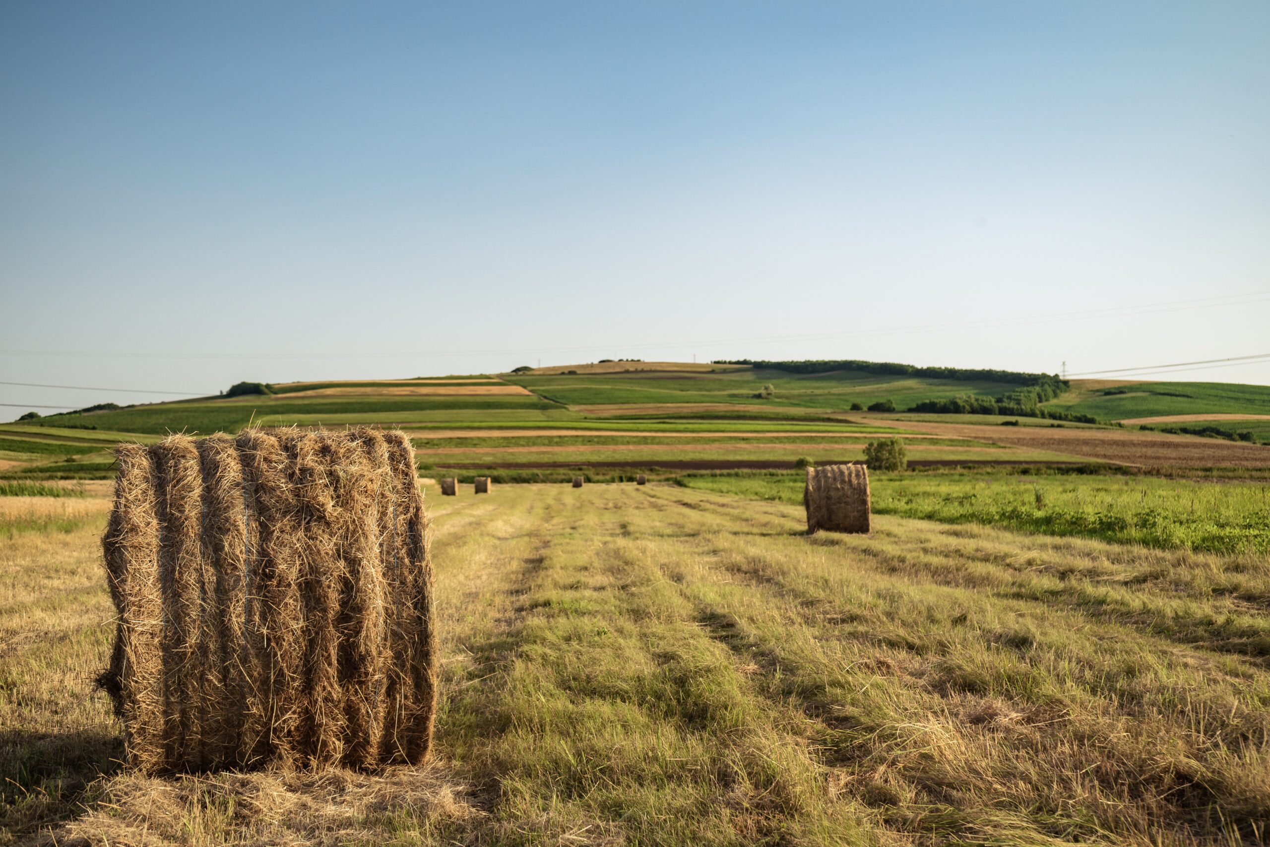 Sul Informação - Há mais 300 milhões de euros para alavancar investimento na Agricultura