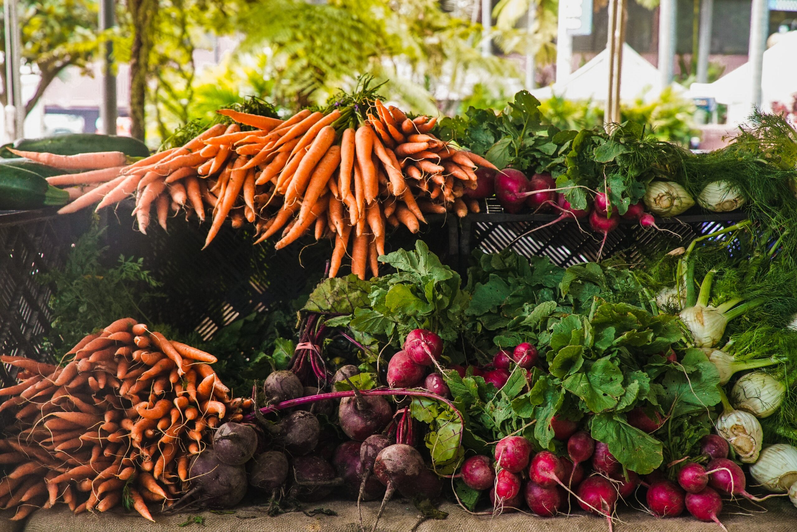 Sul Informação - Plano estratégico de Portugal para a Política Agrícola Comum aprovado hoje