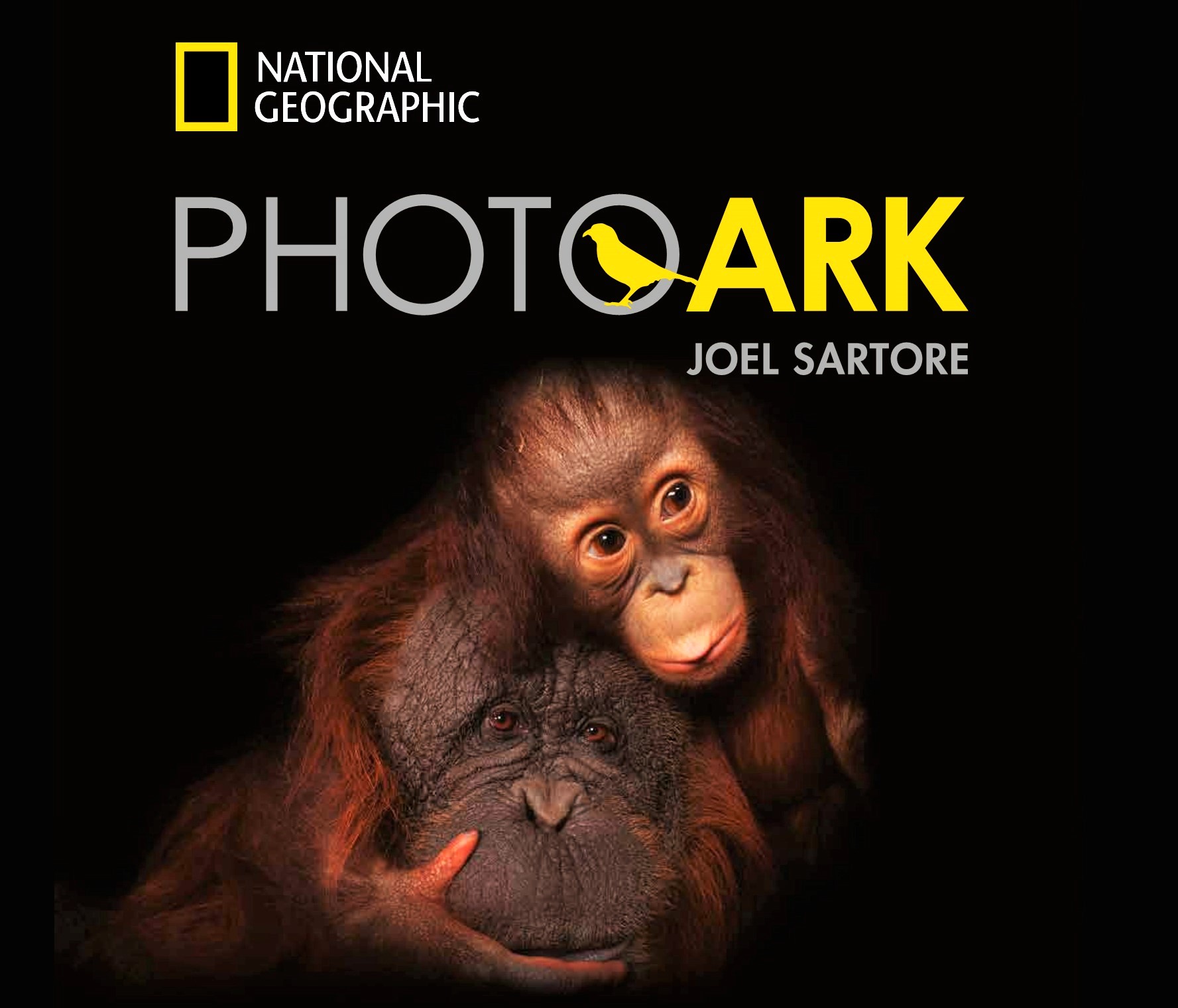 Sul Informação - National Geographic traz exposição “Photo ARK” de Joel Sartore a Vilamoura