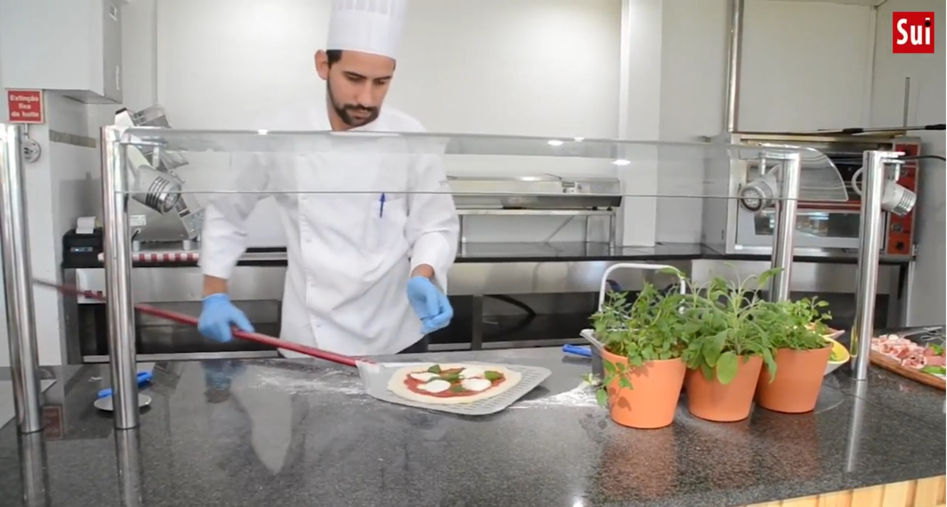 Sul Informação - Um dos melhores pizzaiolos do país é algarvio e não se cansa de ganhar prémios