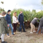 Sul Informação - Plantação de sobreiro na Rotunda da Empreita assinalou Dia das Florestas em São Brás de Alportel