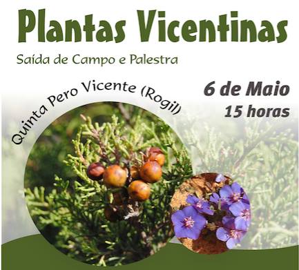 Sul Informação - Saída de campo e palestra dão a conhecer segredos das Plantas Vicentinas no Rogil