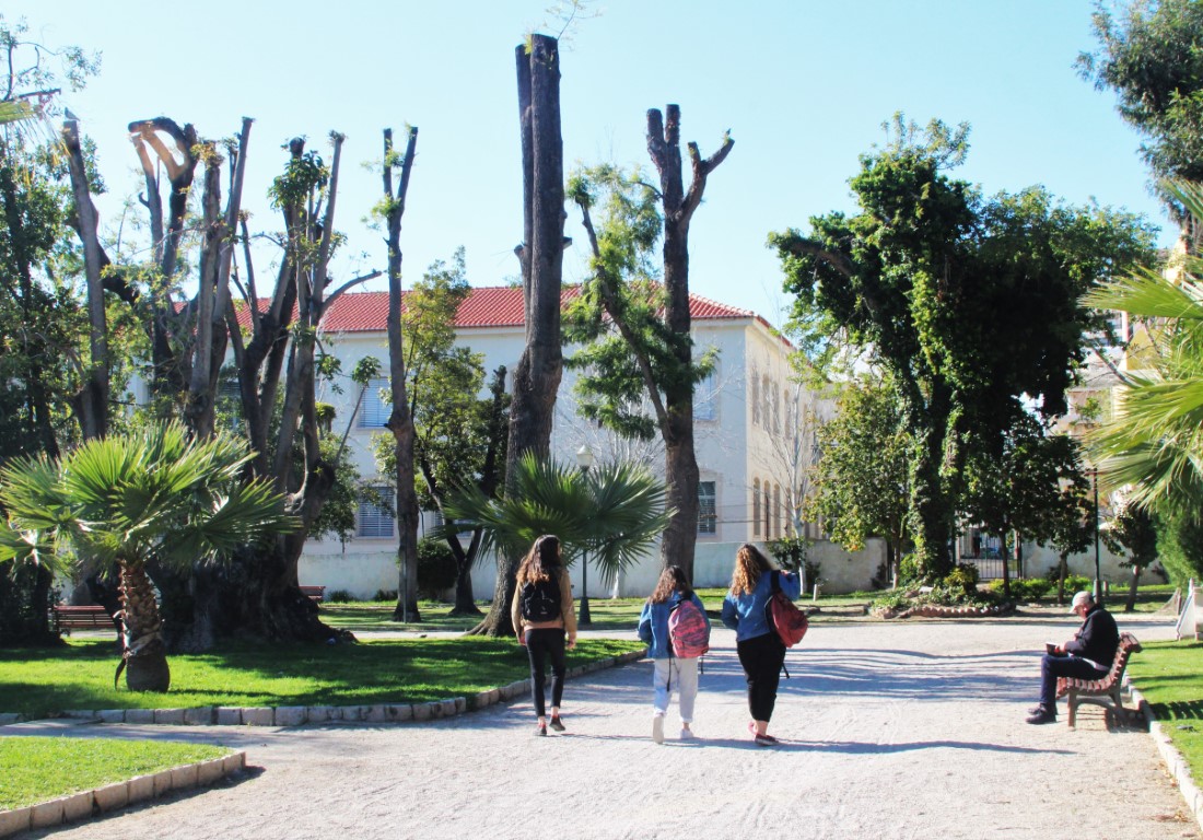 Sul Informação - Podas de árvores no Jardim da Alameda feitas «em nome da segurança»