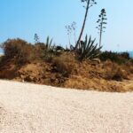 Sul Informação - Obras na Ponta da Piedade avançam, mas oposição exige «paragem imediata»