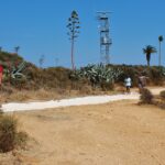 Sul Informação - Obras na Ponta da Piedade avançam, mas oposição exige «paragem imediata»