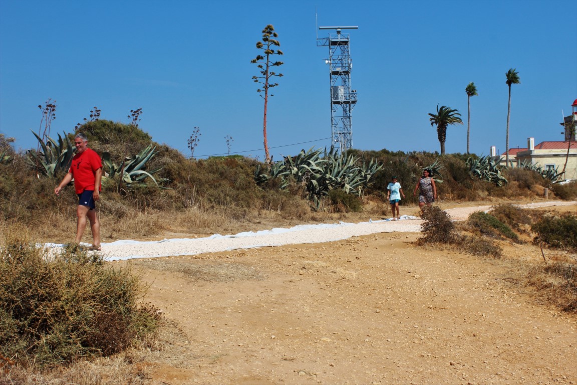 Sul Informação - Obras na Ponta da Piedade avançam, mas oposição exige «paragem imediata»