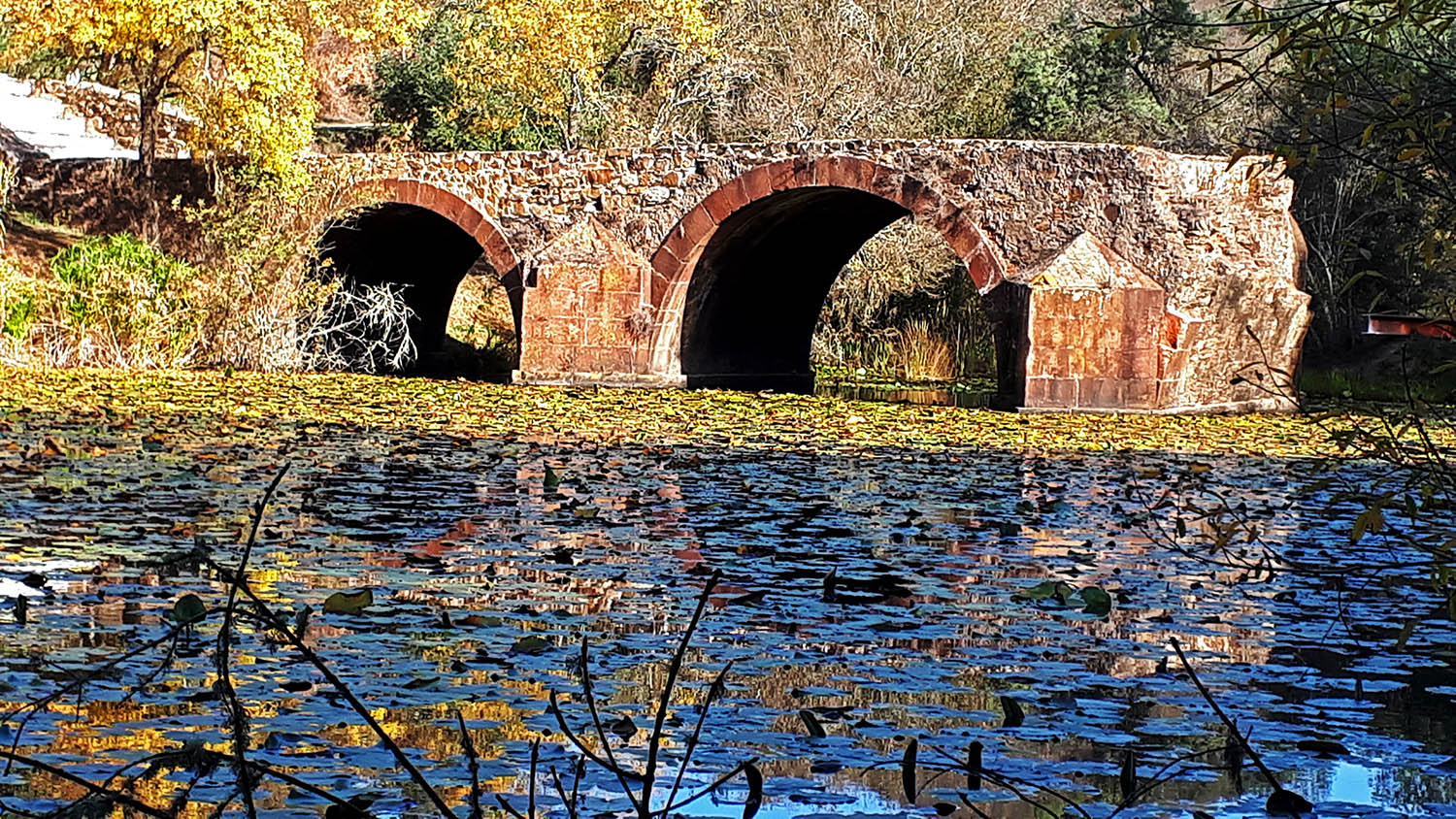 Sul Informação - A construção da ponte D. Maria em Santa Clara-a-Velha e os acessos ao Algarve há 200 anos