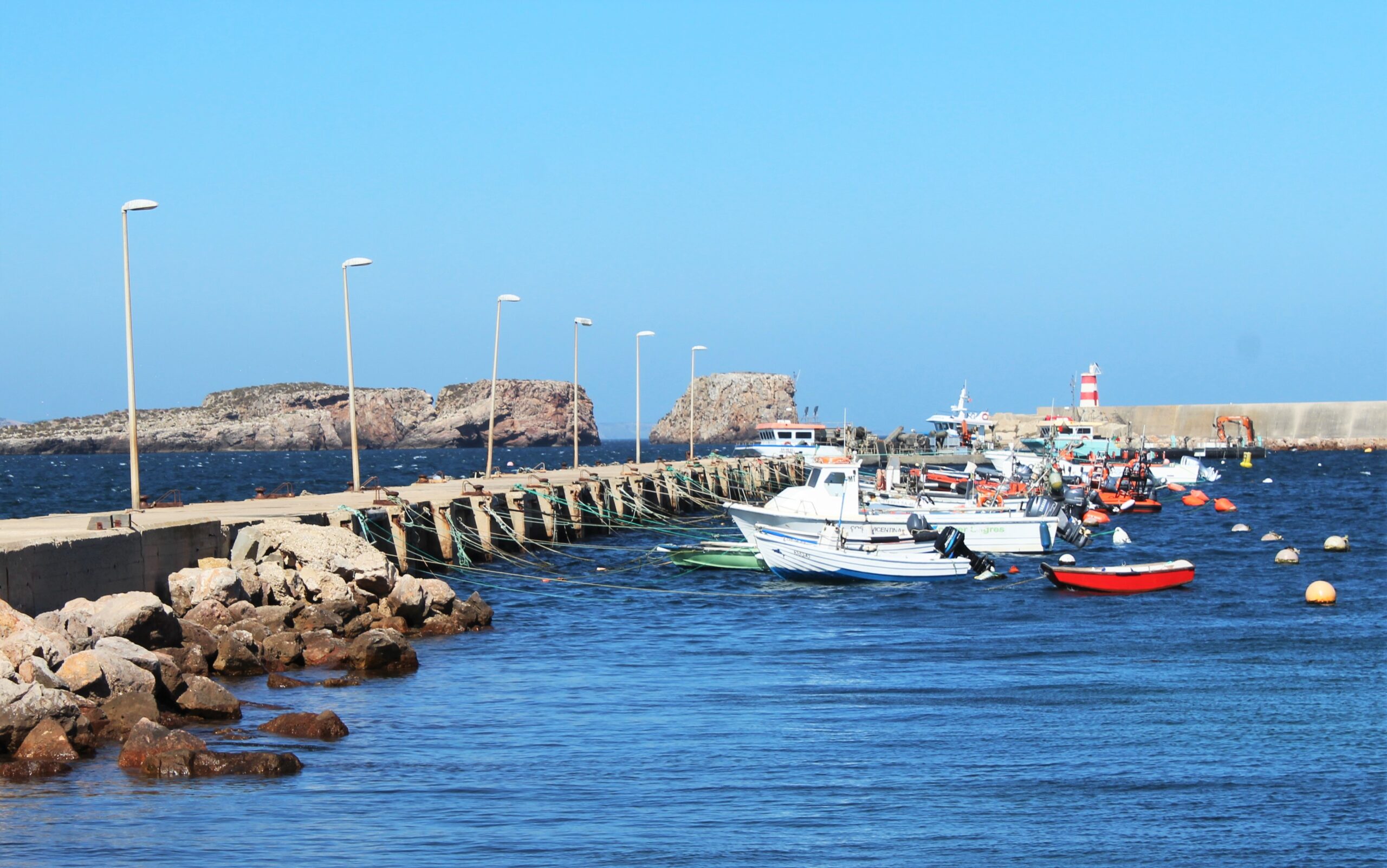 Sul Informação - Alargamento da aquacultura offshore em Sagres motiva reunião com secretária de Estado