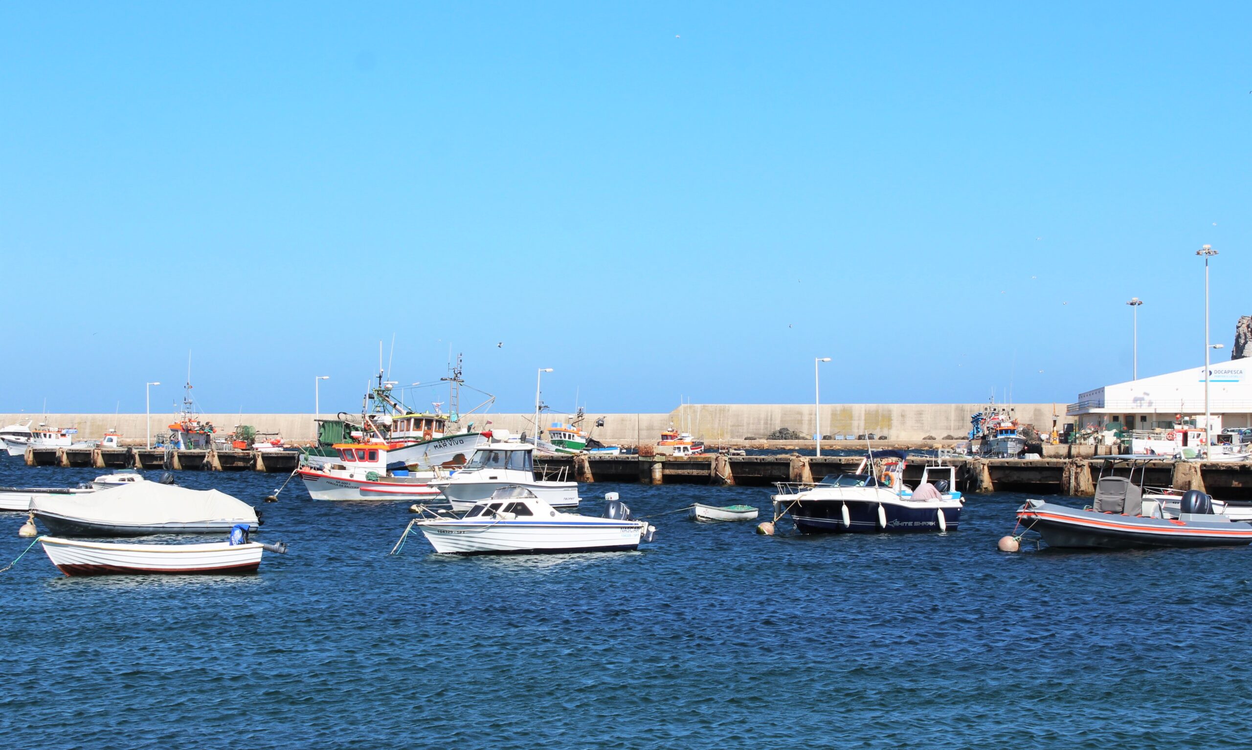 Sul Informação - Docapesca promove limpeza costeira em Sagres, Sines e em quatro outros portos de pesca do país