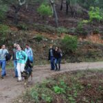 Sul Informação - Nova plataforma vem ajudar quem caminha e anda de bicicleta pelos trilhos do Algarve