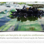 Sul Informação - Investigadora algarvia Alexandra Cunha ganha Prémio Terre des Femmes