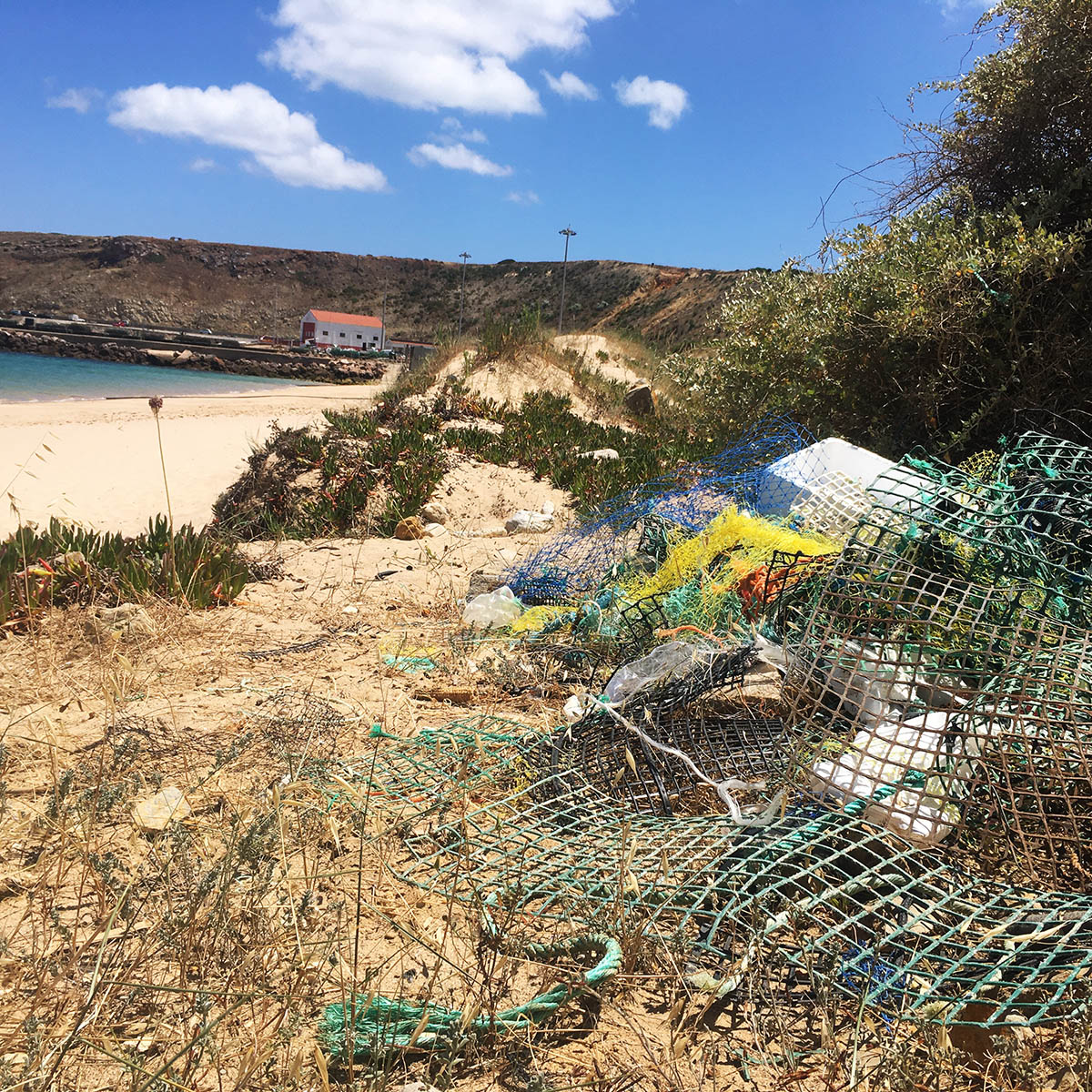 Sul Informação - Limpeza na Praia da Arrifana e nas falésias marcada para domingo, 8 de Novembro