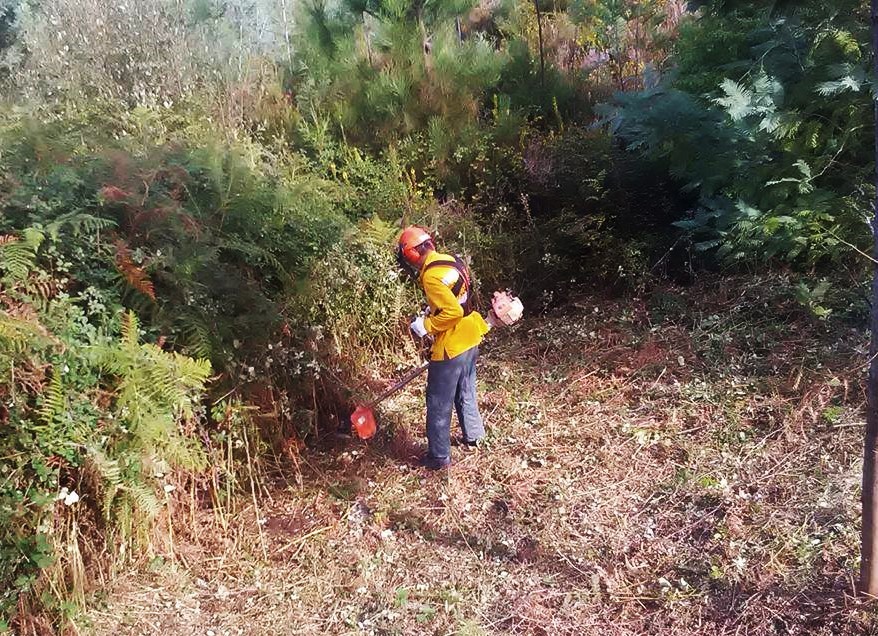 Sul Informação - Câmara de Alcoutim apoia Cumeadas em ações de prevenção contra incêndios