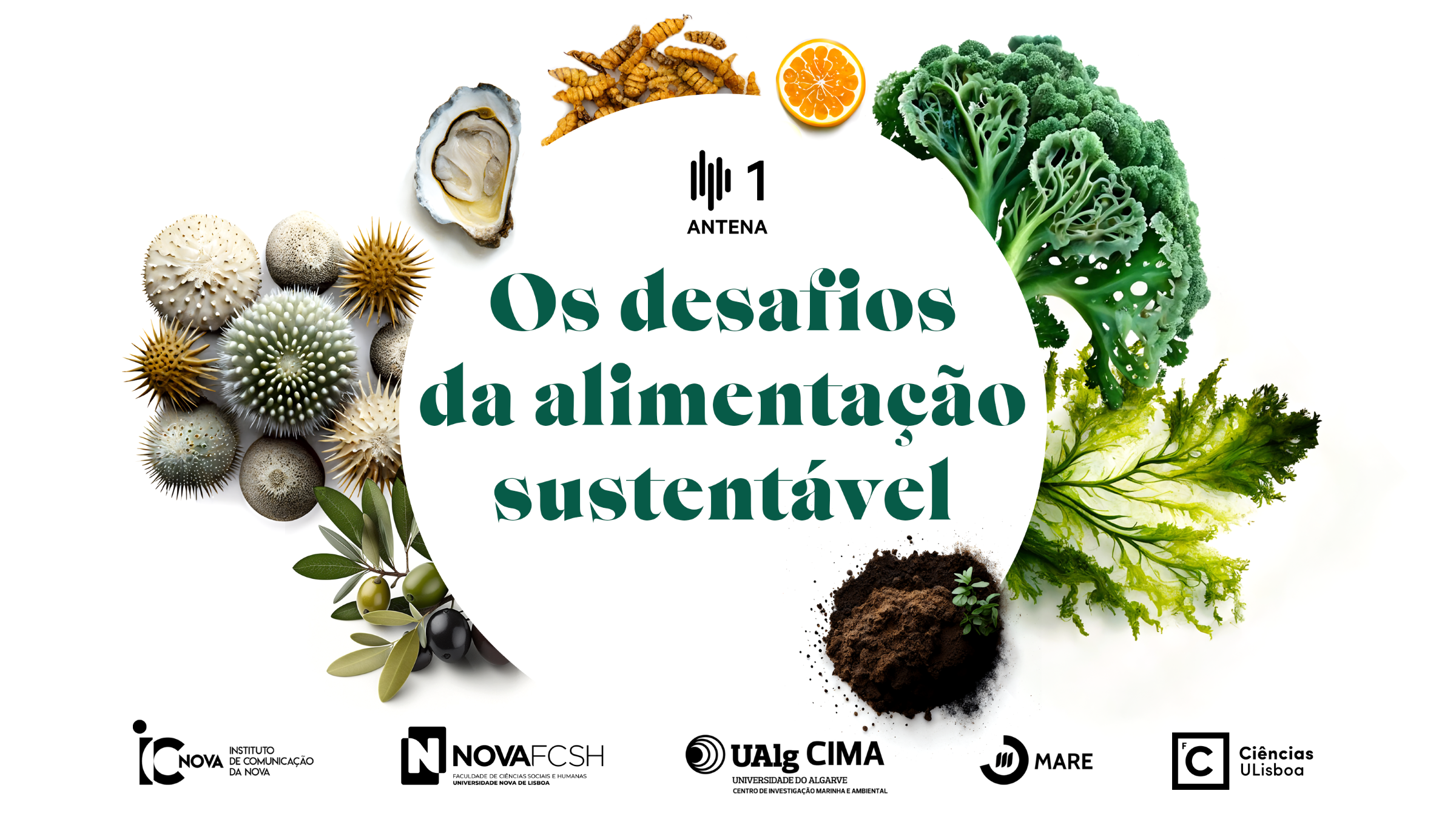Sul Informação