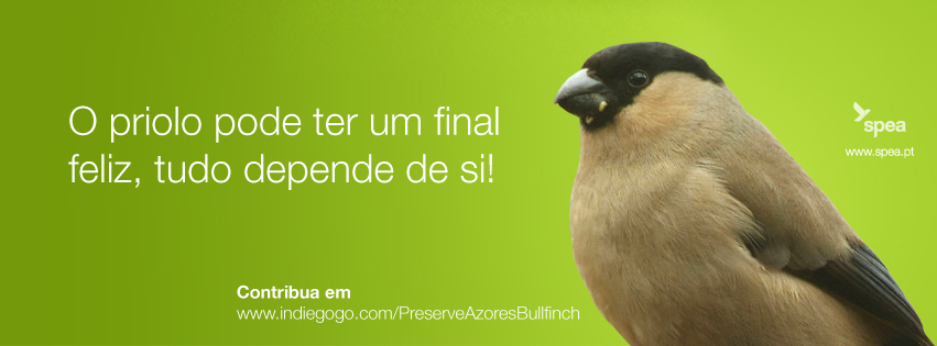 Sul Informação