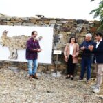 Sul Informação - Há três linces para visitar nas aldeias de Giões, Pereiro e Furnazinhas