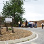 Sul Informação - Há três linces para visitar nas aldeias de Giões, Pereiro e Furnazinhas