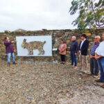 Sul Informação - Há três linces para visitar nas aldeias de Giões, Pereiro e Furnazinhas