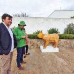 Sul Informação - Há três linces para visitar nas aldeias de Giões, Pereiro e Furnazinhas