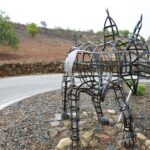 Sul Informação - Há três linces para visitar nas aldeias de Giões, Pereiro e Furnazinhas