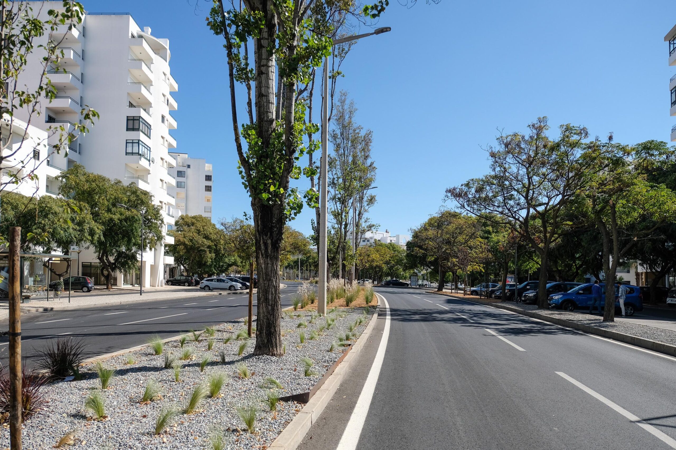 Sul Informação - Quarteira: Troço da Avenida Sá Carneiro já tem espaços verdes requalificados