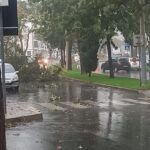 Sul Informação - “Aline” derruba 41 árvores e 12 estruturas em todo o Algarve