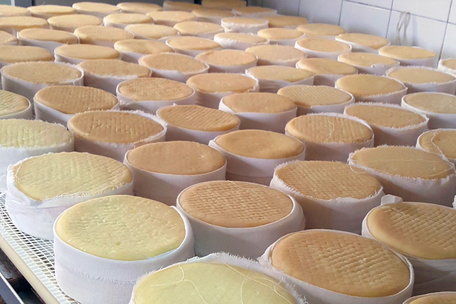 Sul Informação - Feira do Queijo do Alentejo decorre em Serpa na próxima semana