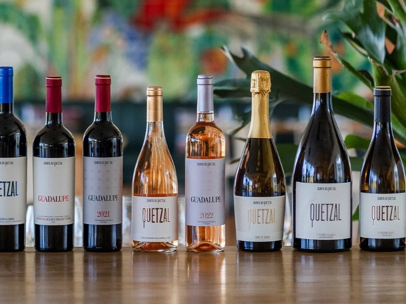 Sul Informação - Vinhos do Alentejo com 38 medalhas no concurso Mundus Vini na Alemanha