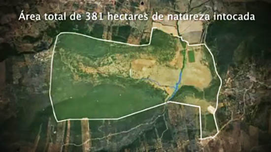 Sul Informação - Bloco de Esquerda pede audição urgente sobre “Vale do Freixo Golf & Country Resort”