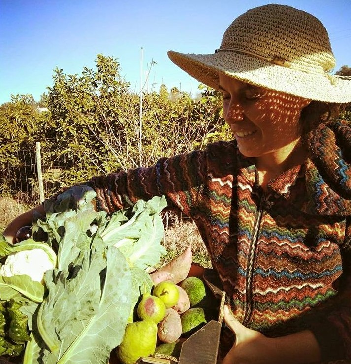 Sul Informação - Cabaz da Terra dá a conhecer produtos da Quinta Shanti na Conceição de Tavira