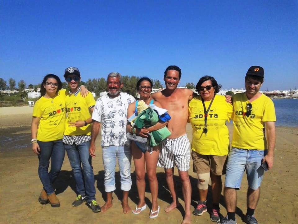 Sul Informação
