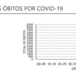 Sul Informação - Alentejo sem novos óbitos regista mais 26 casos de Covid-19
