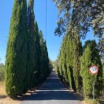 Sul Informação - Câmara de São Brás repavimenta estrada no Centro de Reabilitação do Sul