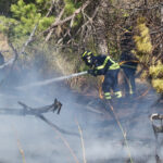 Sul Informação - Bombeiros e helicóptero dominam incêndio em Gambelas [com fotos]