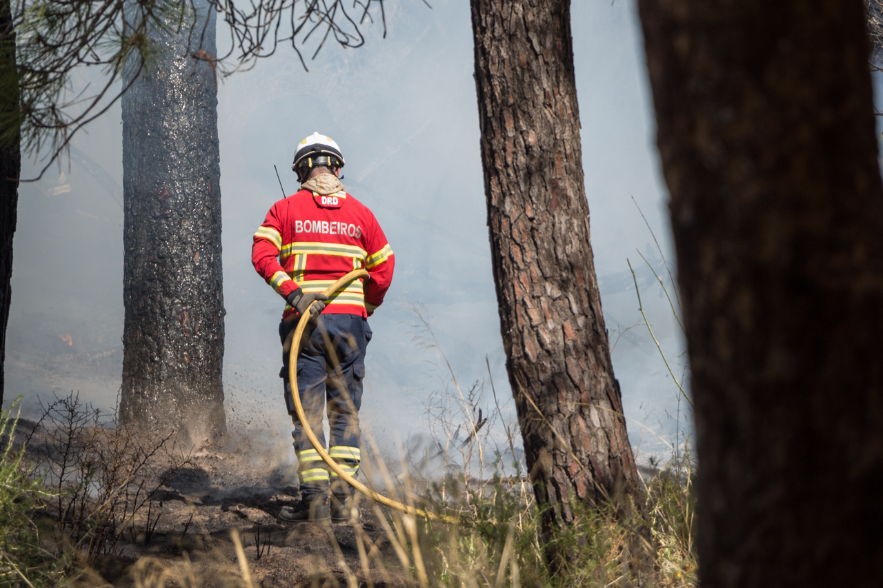 Sul Informação - Dominado incêndio de Castro Marim