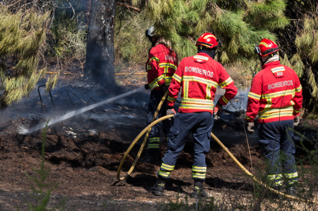 Sul Informação - Snack-bar de São Teotónio está há dias a trabalhar para alimentar bombeiros em Odemira