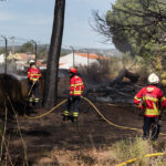 Sul Informação - Bombeiros e helicóptero dominam incêndio em Gambelas [com fotos]