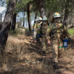 Sul Informação - Bombeiros e helicóptero dominam incêndio em Gambelas [com fotos]