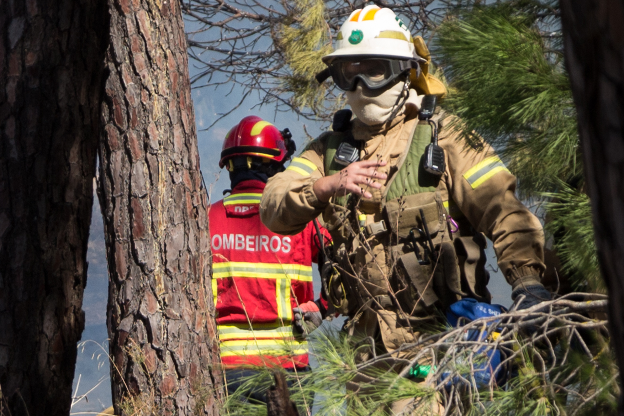Sul Informação - Bombeiros e helicóptero dominam incêndio em Gambelas [com fotos]